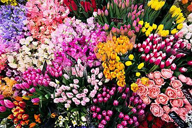 《卡普空街机全集2》含32款街机游戏 7月22日发售