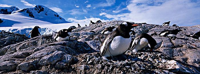 网易单机游戏《剑心雕龙》或将登陆Switch 2等多平台